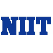 What NIITLTD does